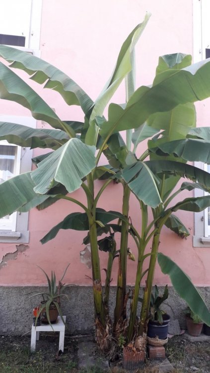 20180724_105117.jpg