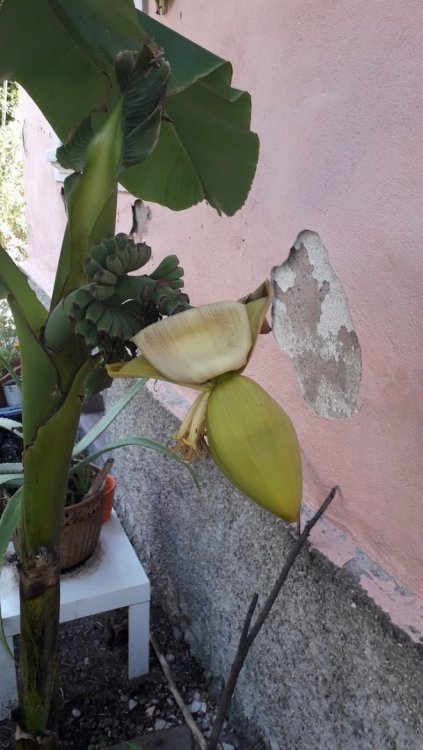 20180724_105126.jpg