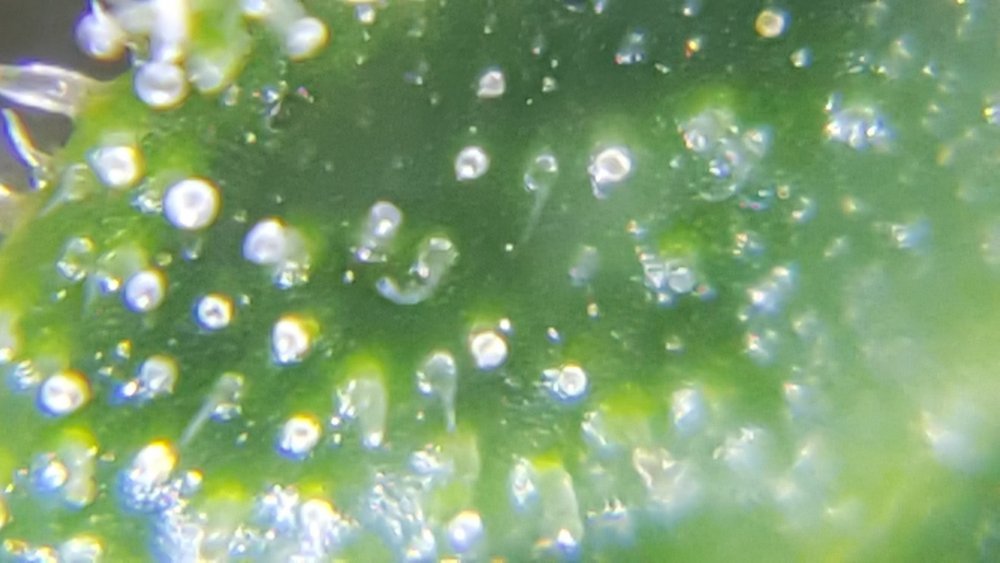 20180726_220435.jpg