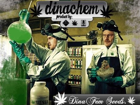 2052556645_dinachemdinafem.JPG