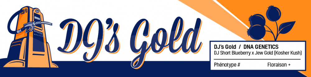 2053810545_DJsGold-dnagenetics.PNG