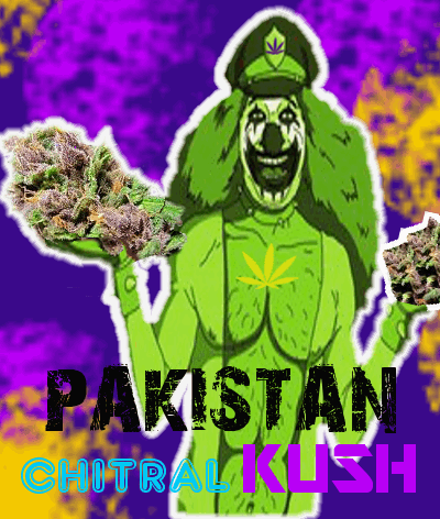 2108999213_pakistanchitralkush.PNG