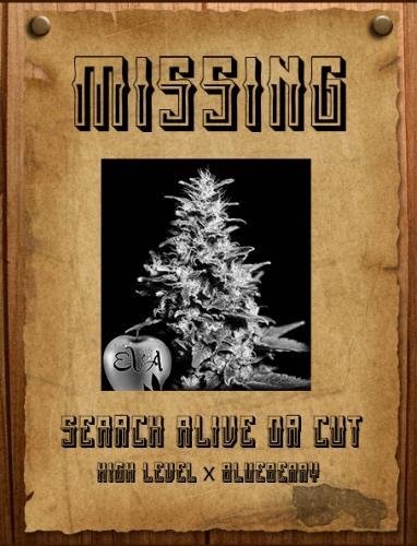 2110933867_highlevelxblueberryevaseeds.JPG