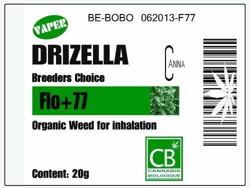 230414096_drizellabreederschoice.JPG