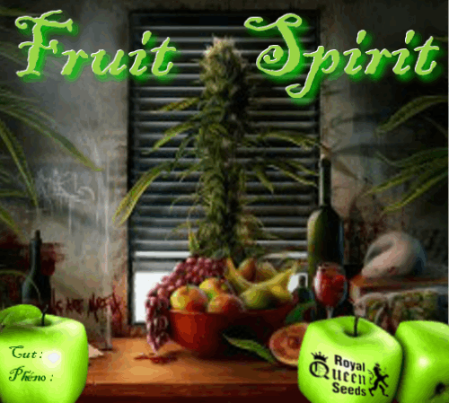 236257862_fruitspiritrqs.PNG