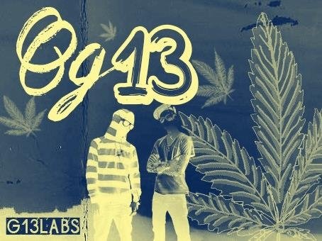 256766090_OG15G13labs.JPG