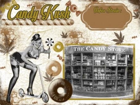 256972234_candykush.JPG