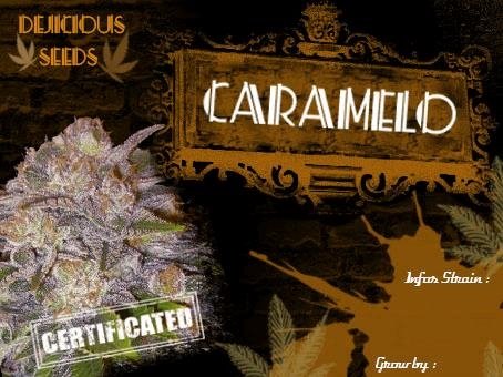 283723013_caramalodeliciousseeds.JPG