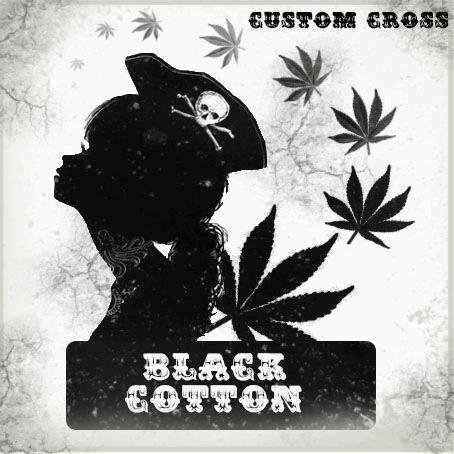 29478819_BLACKCOTTON.JPG