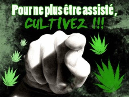 298979566_inconnue7.JPG