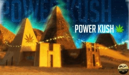 305654483_powerkushdinafem.JPG