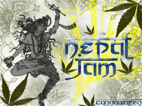 306278210_nepaljamcannabiogen.JPG