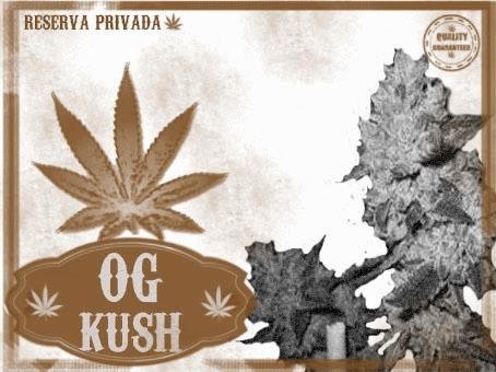 320722772_ogkushreservaprivada.JPG