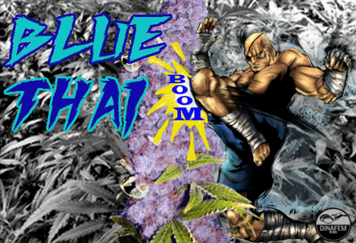 373411926_bluethaidinafem.PNG