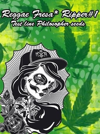 386193399_reggaefresaripper1testlinephilosphers.jpg