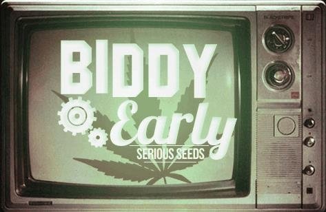 420417918_biddyearlyseriouseeds.JPG