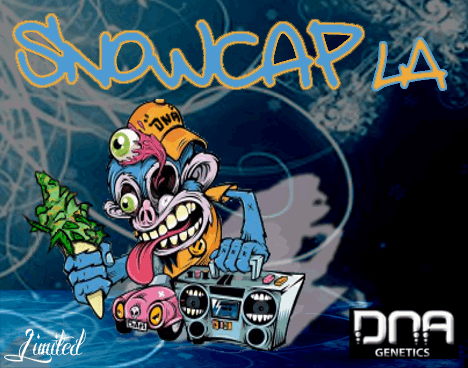 430304692_snowcapLA-dnagenetics.PNG