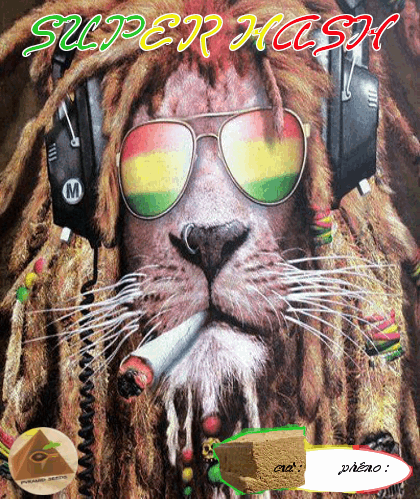 453010191_superhash-pyramidseeds.PNG