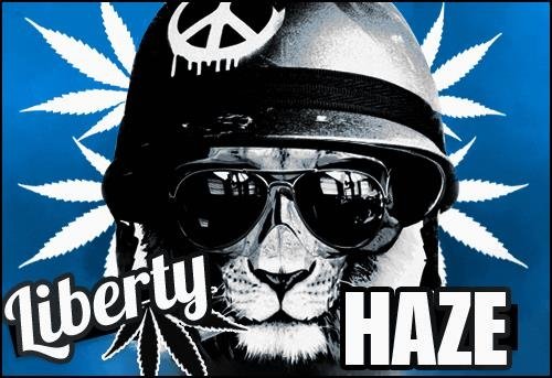 505380380_libertyhaze.JPG