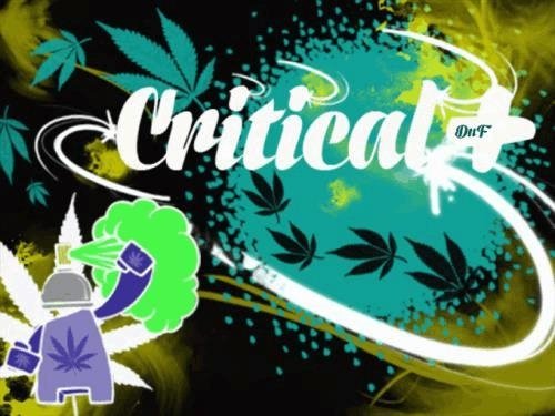 619354291_criticaldinafem.JPG