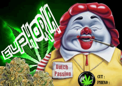 623885749_euphoriadutchpassion.PNG