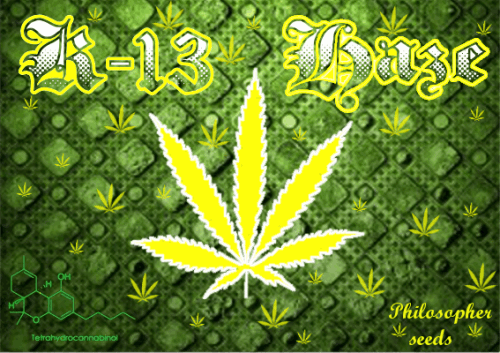 876076467_K13hazephilosopherseeds.PNG