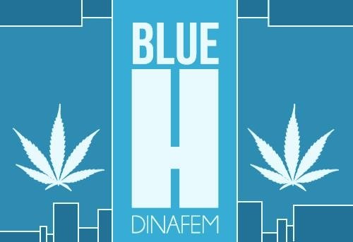 897199963_blueHashdinafem.JPG