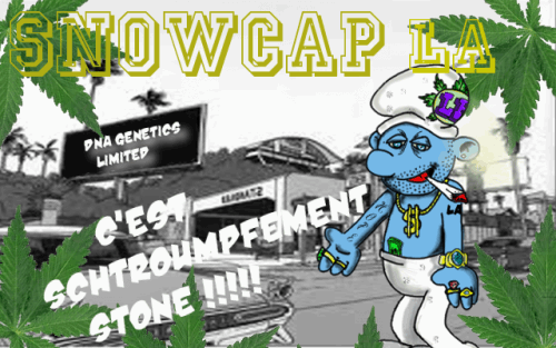 908949054_snowcapla.dnagenteticsPNG.PNG