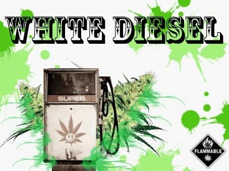 927748962_whitediesel.JPG