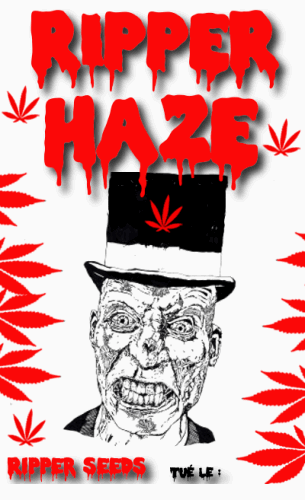 974975595_ripperhazeripperseeds.PNG