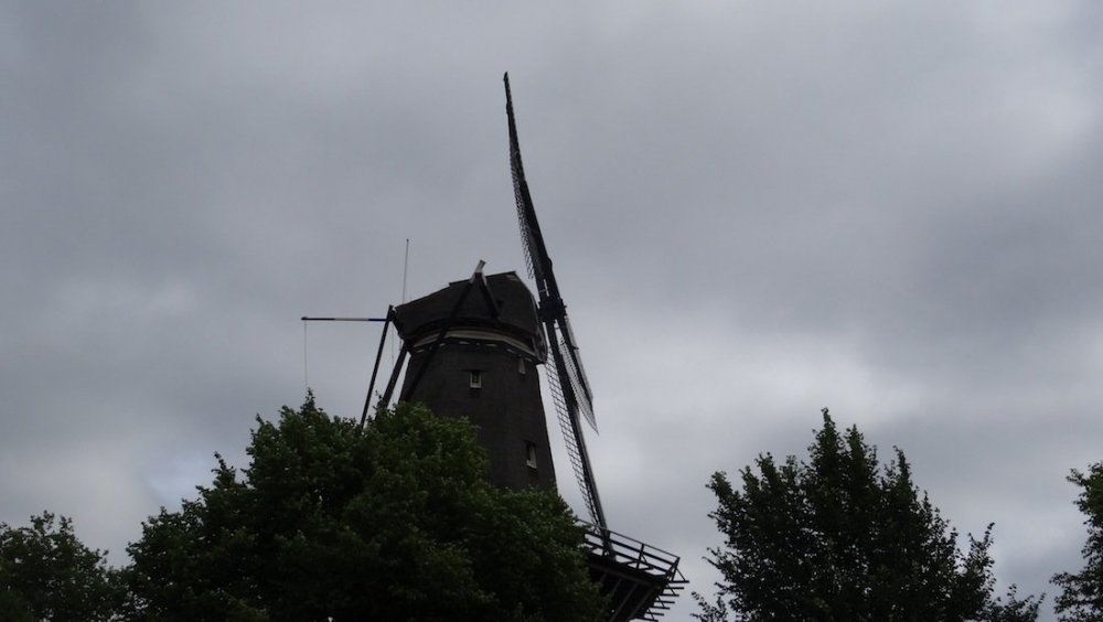 DSC00494.JPG