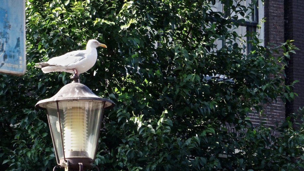 DSC00780.JPG