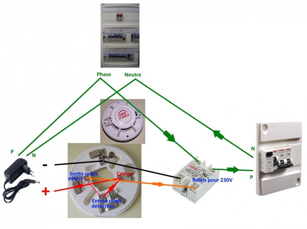 Schema.thumb.jpg.af125b1e9919d9d250f2c60db64a5a2b.jpg