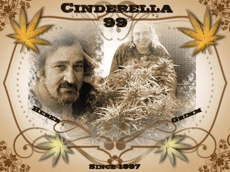 cinderella99.JPG