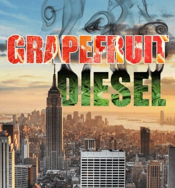 grapefruitdiesel.JPG
