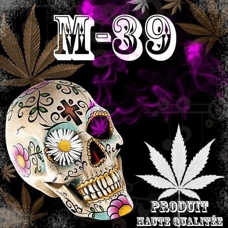 m-39.JPG