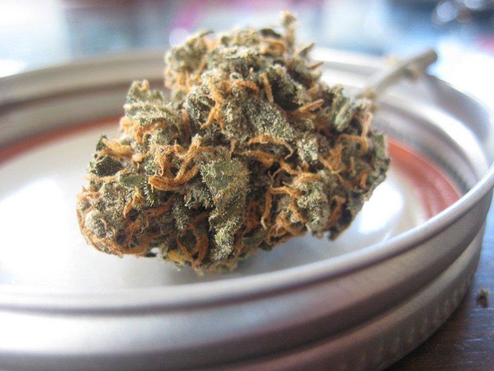 marijuana-argent-taxes-etat-cannabis-impot.jpg