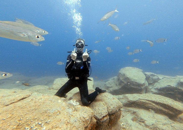 peaceamongfishies1.jpg