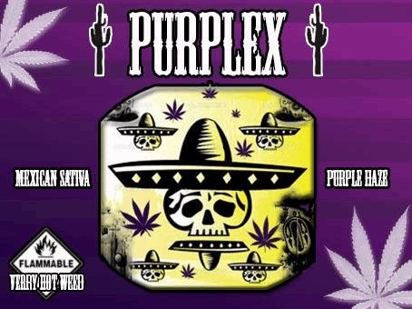 purplex.JPG