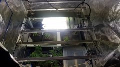 20180701_185602.jpg