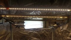 20180701_185638.jpg