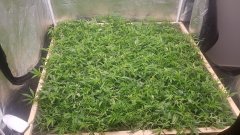 20180706_103631.jpg
