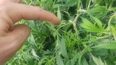 20180706_103705.jpg