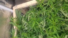 20180706_103718.jpg