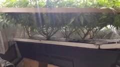 20180709_074635.jpg