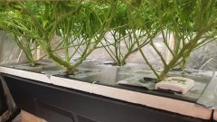 20180714_081244.jpg