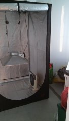 20180714_205454.jpg