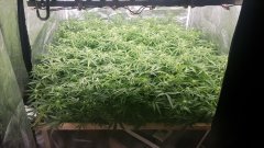 20180718_092159.jpg