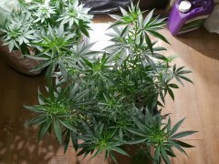 20180720_123443.jpg