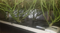 20180723_095510.jpg